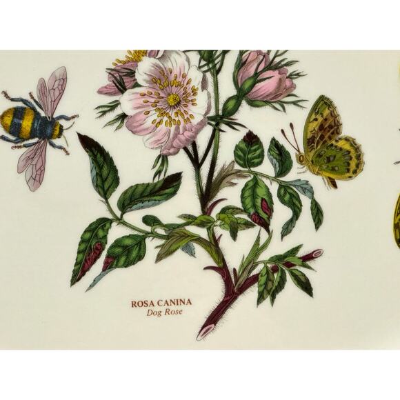 Portmeirion Vintage Botanic Garden England 13" Dog Rose Oval Steak Platter - Picture 3 of 6